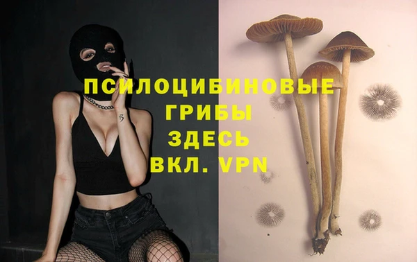 амф Дмитров