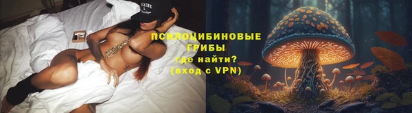 амф Дмитров