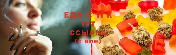 амф Дмитров