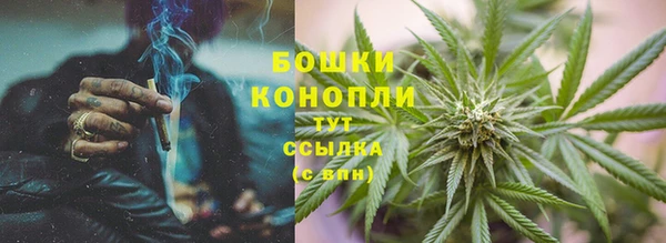 амф Дмитров