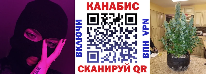 Бошки марихуана тримм  hydra сайт  Пустошка  купить наркотики цена 